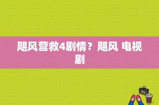 飓风营救4剧情？飓风 电视剧