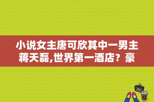 小说女主唐可欣其中一男主蒋天磊,世界第一酒店？豪门风云电视剧