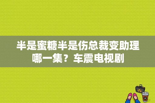 半是蜜糖半是伤总裁变助理哪一集？车震电视剧