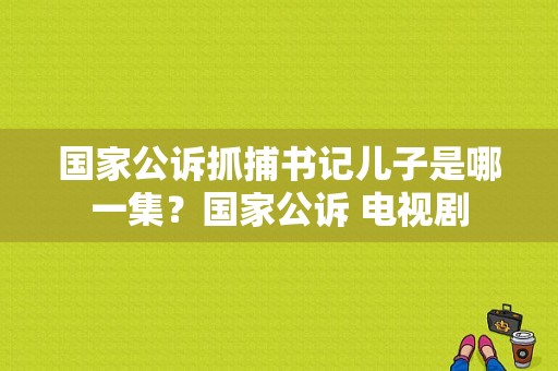 国家公诉抓捕书记儿子是哪一集？国家公诉 电视剧