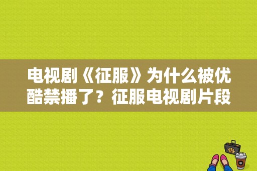 电视剧《征服》为什么被优酷禁播了？征服电视剧片段