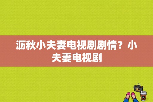 沥秋小夫妻电视剧剧情？小夫妻电视剧