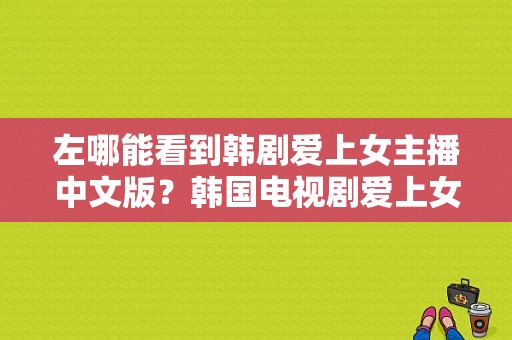 左哪能看到韩剧爱上女主播中文版？韩国电视剧爱上女主播-图1