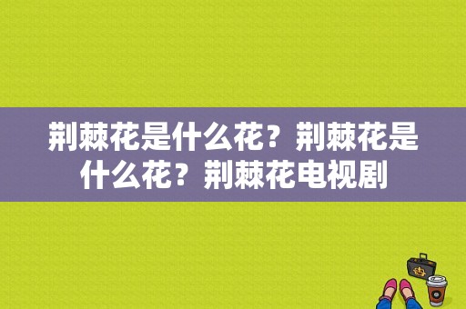 荆棘花是什么花？荆棘花是什么花？荆棘花电视剧