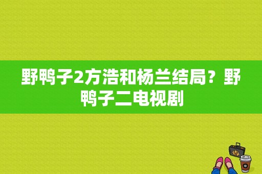 野鸭子2方浩和杨兰结局？野鸭子二电视剧