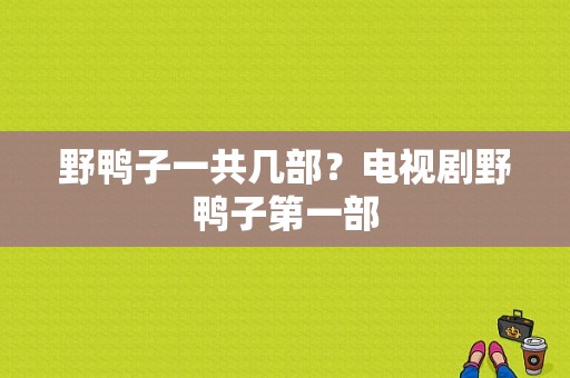 野鸭子一共几部？电视剧野鸭子第一部