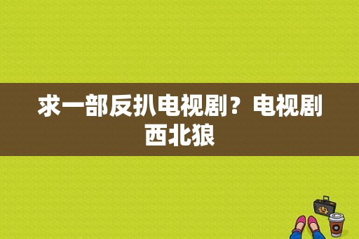 求一部反扒电视剧？电视剧西北狼-图1