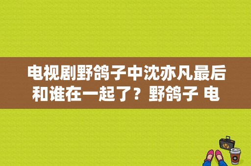 电视剧野鸽子中沈亦凡最后和谁在一起了？野鸽子 电视剧