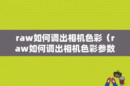 raw如何调出相机色彩（raw如何调出相机色彩参数）