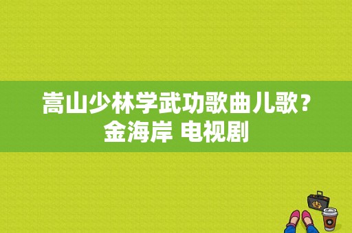 嵩山少林学武功歌曲儿歌？金海岸 电视剧