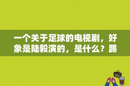 一个关于足球的电视剧，好象是陆毅演的，是什么？踢足球的电视剧-图1