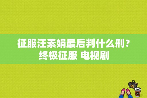 征服汪素娟最后判什么刑？终极征服 电视剧