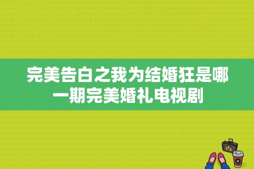 完美告白之我为结婚狂是哪一期完美婚礼电视剧