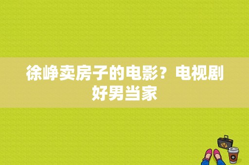 徐峥卖房子的电影？电视剧好男当家