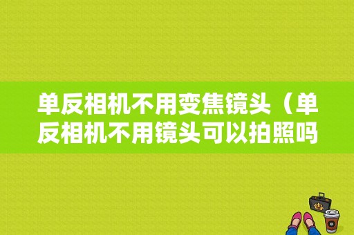 单反相机不用变焦镜头（单反相机不用镜头可以拍照吗）