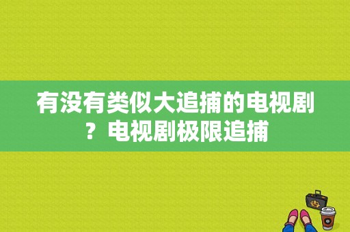 有没有类似大追捕的电视剧？电视剧极限追捕