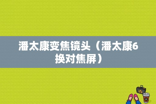 潘太康变焦镜头（潘太康6换对焦屏）-图1