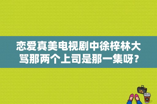 恋爱真美电视剧中徐梓林大骂那两个上司是那一集呀？恋爱真美电视剧-图1