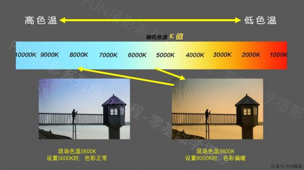 色彩平衡的照片（色彩平衡的照片图片）-图3