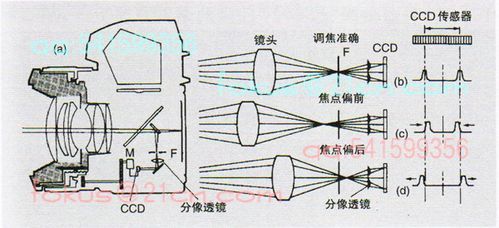 什么叫调焦和变焦（调焦的概念）-图2