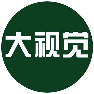 深圳市大视觉文化传播（深圳大视野有限公司）-图3