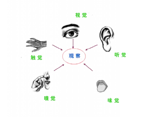 光视觉（光视觉与光听觉）