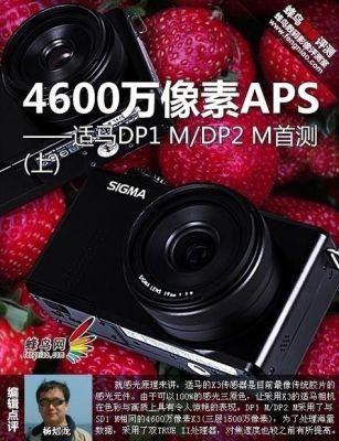 适马dp2s和dp2m哪个色彩好（适马dp1q还是dp2q好用）-图3