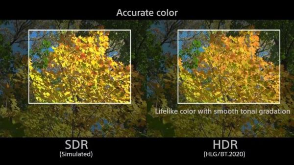 索尼原厂色彩lut（sony的色彩）-图1