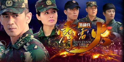 霹雳火特种兵演员表（霹雳火大结局特种兵霹雳火大结局）-图3