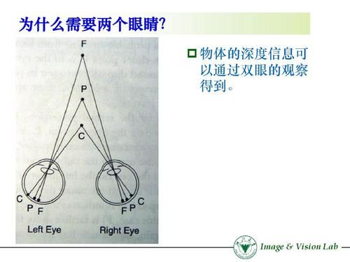 什么是视觉深度（什么是视觉深度的概念）