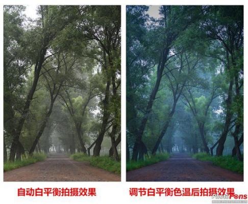 白平衡控制照片色彩（白平衡调整对画面的影响）-图1