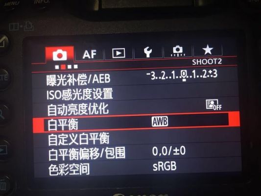 佳能5d3拍摄色彩设置（佳能5d3亮度怎么调）-图3