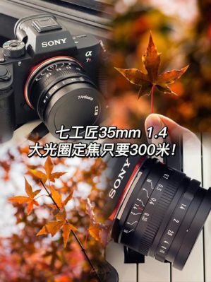 300变焦与300定焦（变焦35mm和定焦35mm照出来的一样吗）-图2