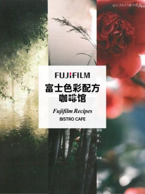 富士之色彩（富士色彩配方咖啡馆pdf）-图3