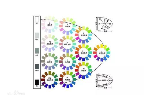 色彩的色调技巧（色彩的色调技巧和方法）-图3
