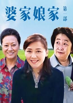 婆家娘家演员表（婆家娘家演员表全部百科）-图2