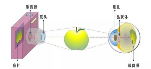 视觉跟什么有关系（视觉是指）-图1