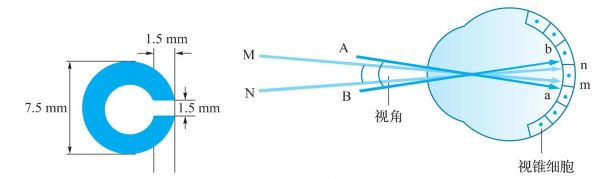 视觉跟什么有关系（视觉是指）-图3