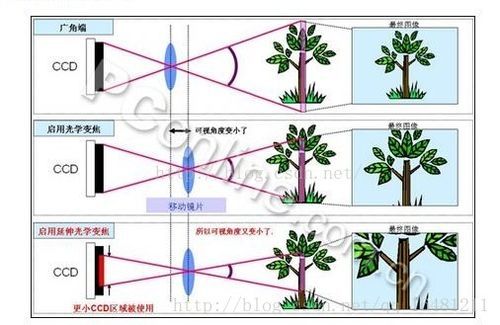 变焦下的（变焦的部位有哪些）-图3