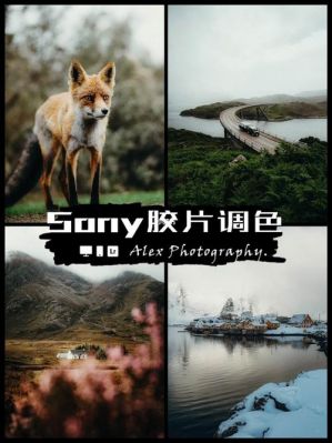 sony相机色彩风格（sony相机调色）-图2