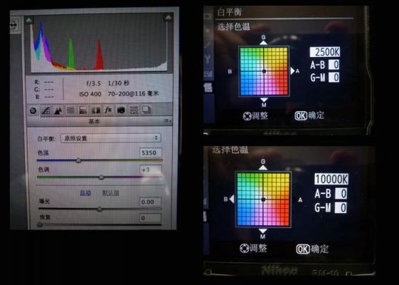 尼康色彩偏冷（尼康相机色温一般调如何调）-图3