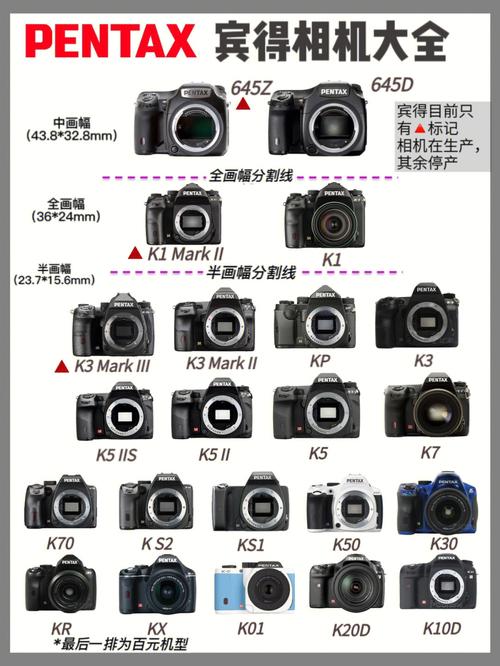 宾得单反的色彩（宾得相机色彩设置）-图3