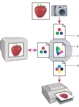 icc色彩管理的作用（色彩管理 icm）-图2