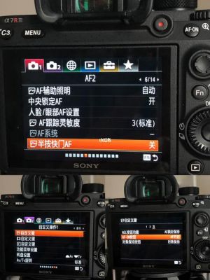 a7r2清晰影像变焦（a7r2变焦设置）-图1