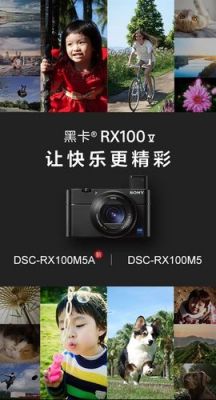 sony黑卡有变焦吗（索尼黑卡可以拍1000帧吗）-图2