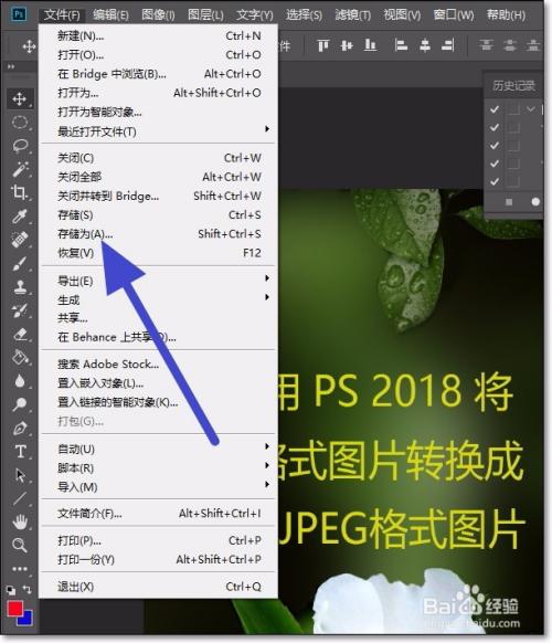 psraw转jpg格式色彩空间（ps怎么转换raw图片格式）-图2