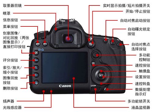 5d相机色彩不正（5d相机色彩不正怎么调）-图2