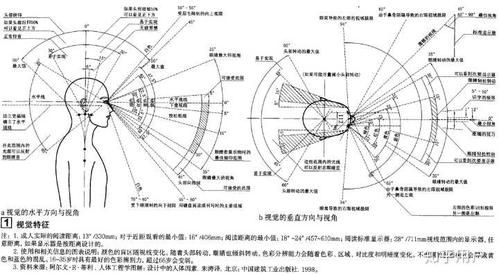 人视觉的调节（人视觉角度）-图2