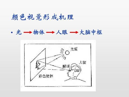 人眼的视觉习惯（人眼的视觉要素包括）-图2