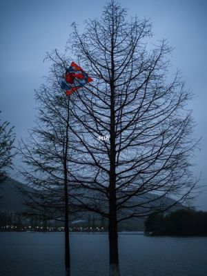 莱卡色彩特点（徕卡用什么色彩模式好）